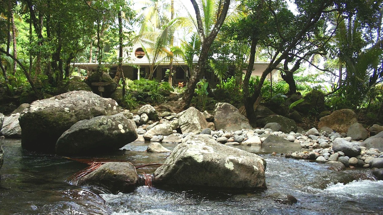 Photo of Outdoor in La Plaine