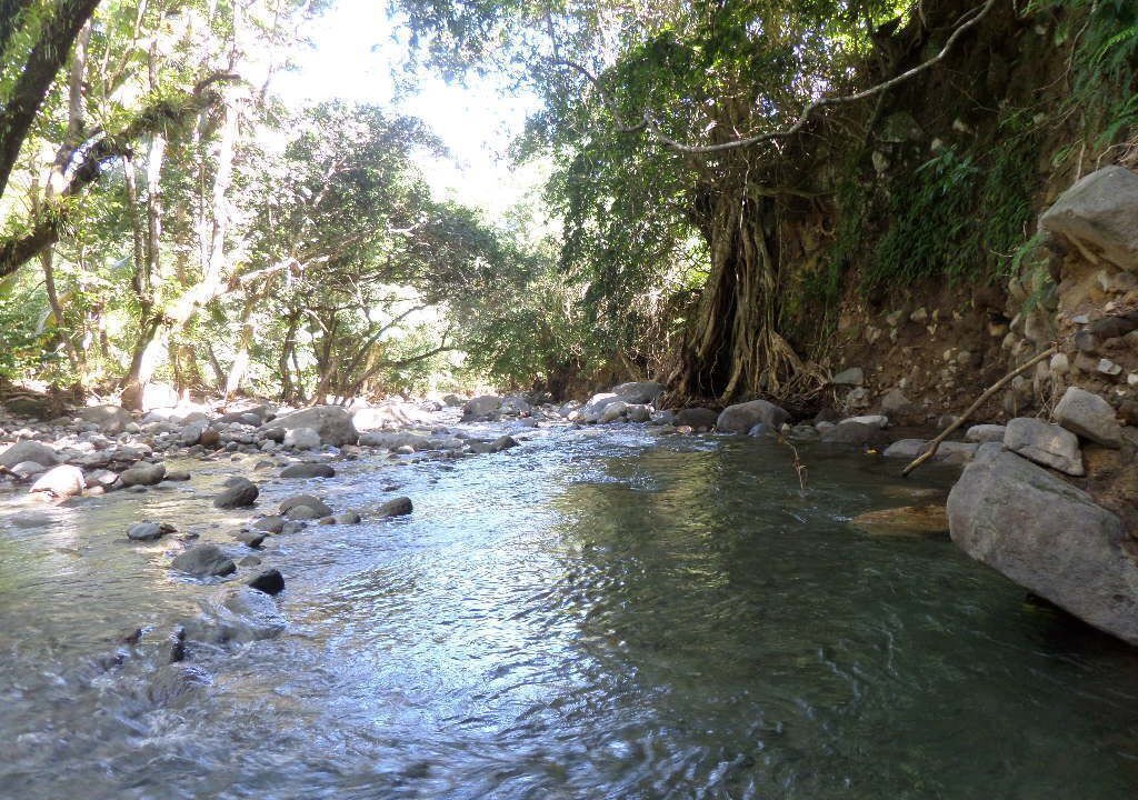 Photo of Outdoor in La Plaine