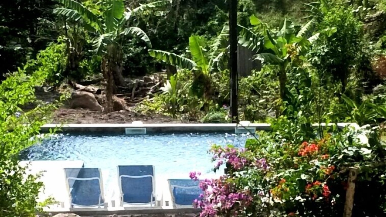 Photo of Outdoor in Pointe Michel