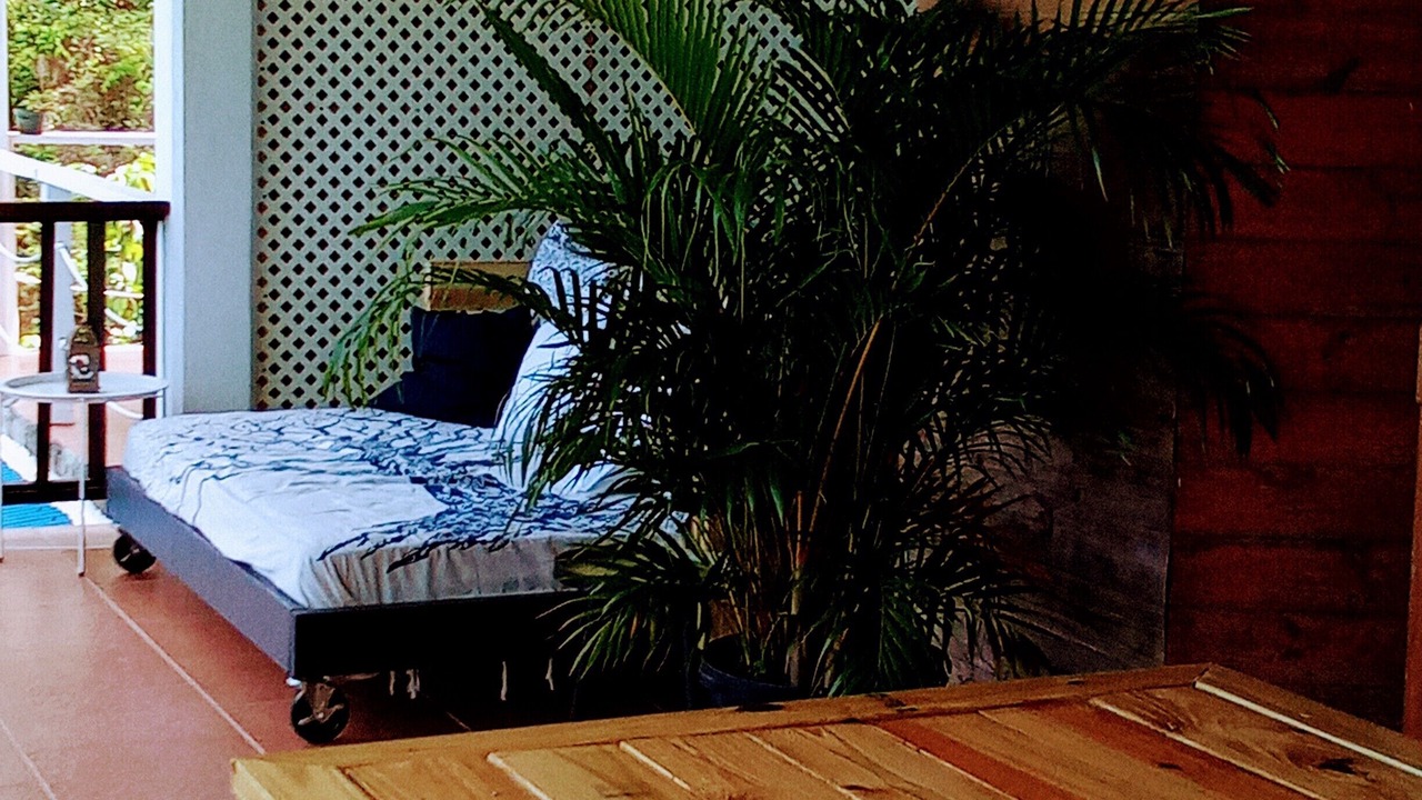 Photo of Outdoor in Pointe Michel