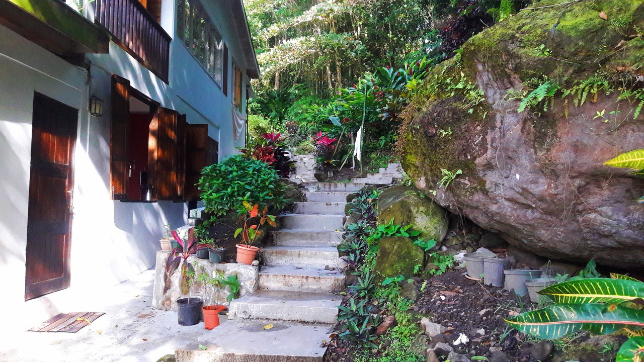 Photo of Outdoor in Pointe Michel