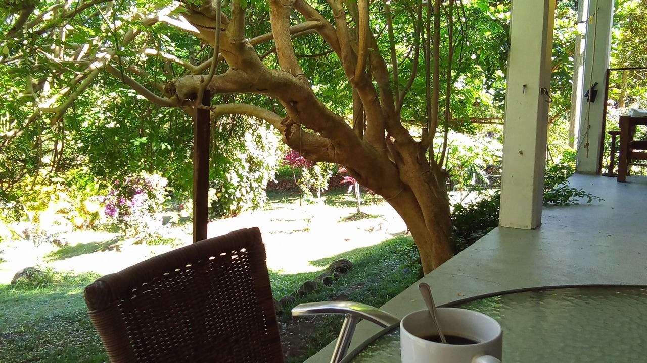 Photo of Outdoor in Pointe Michel