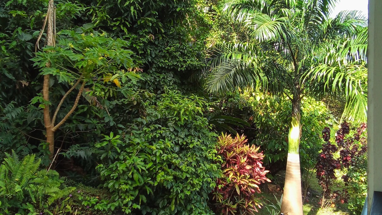 Photo of Outdoor in Pointe Michel