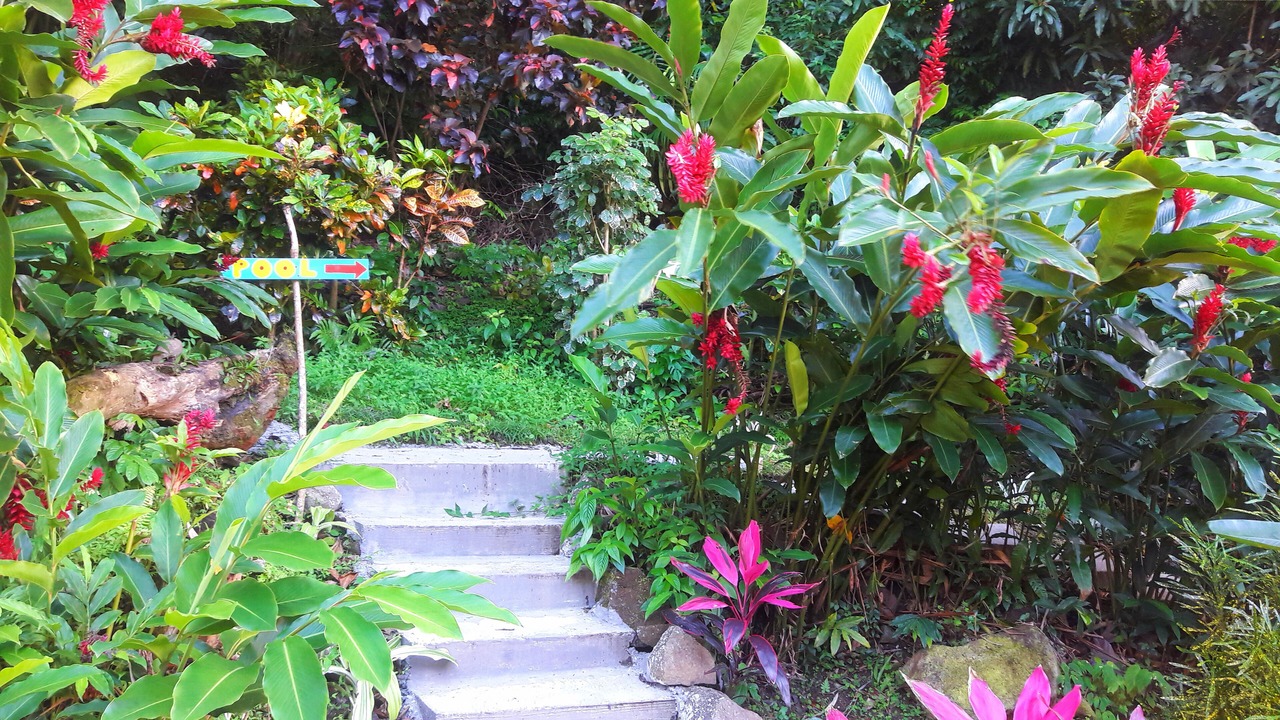 Photo of Outdoor in Pointe Michel