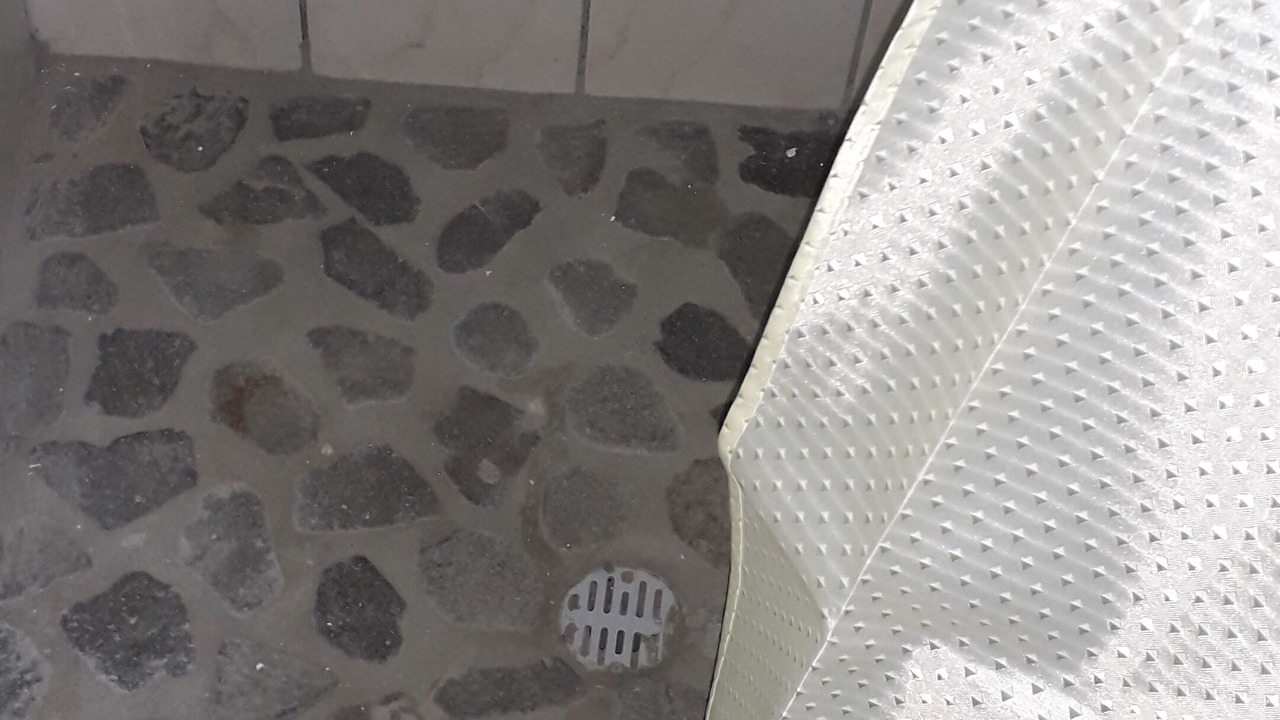 Photo of Bathroom in Roseau