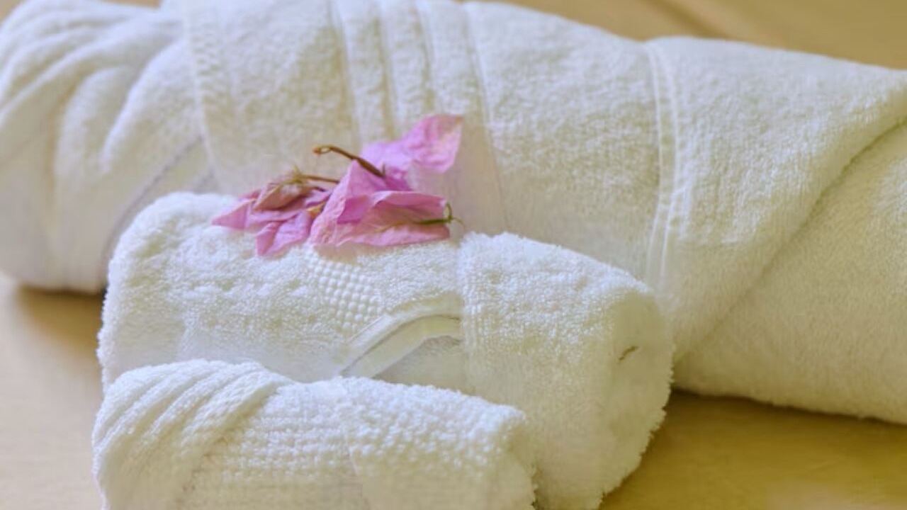 Photo of Others in Roseau