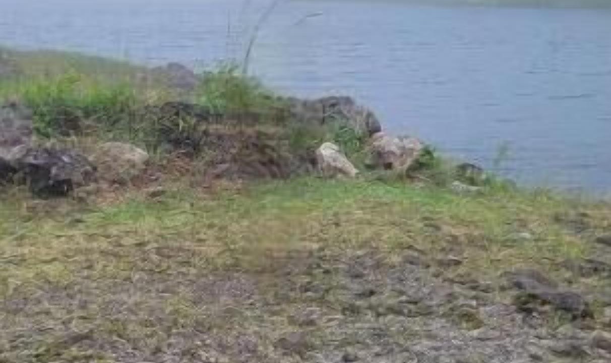Photo of Others in Picard