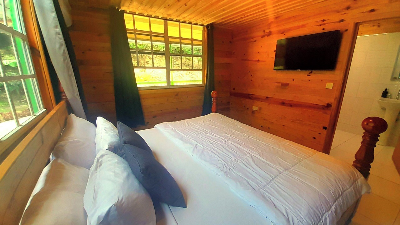 Photo of Bedroom in Loubiere