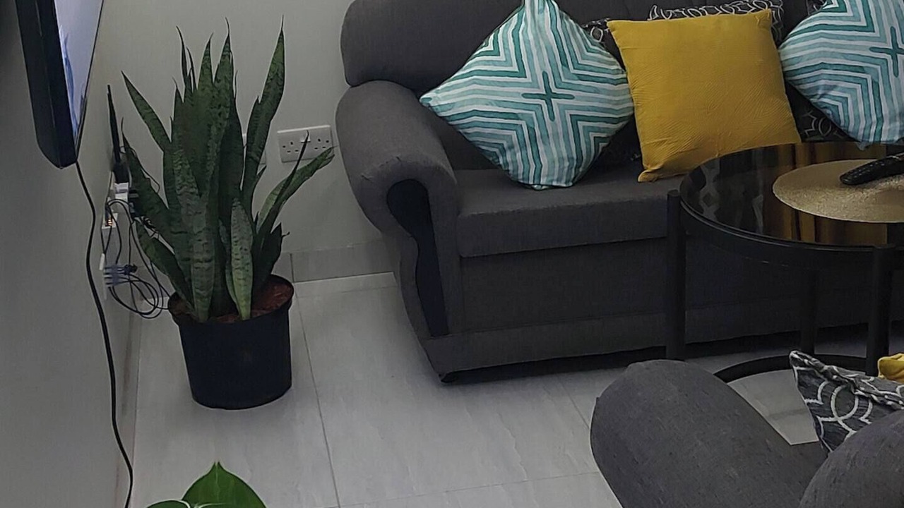 Photo of Livingroom in Canefield