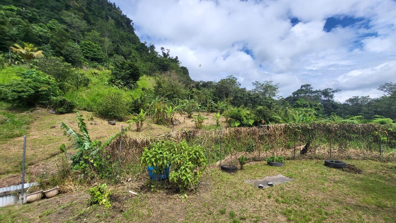 Photo of Outdoor in Barroui