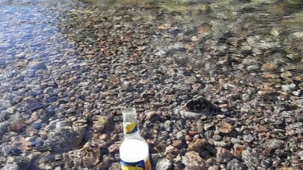 Photo of Others in Grand Bay