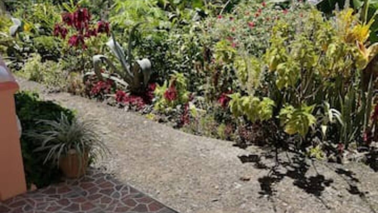 Photo of Outdoor in Picard