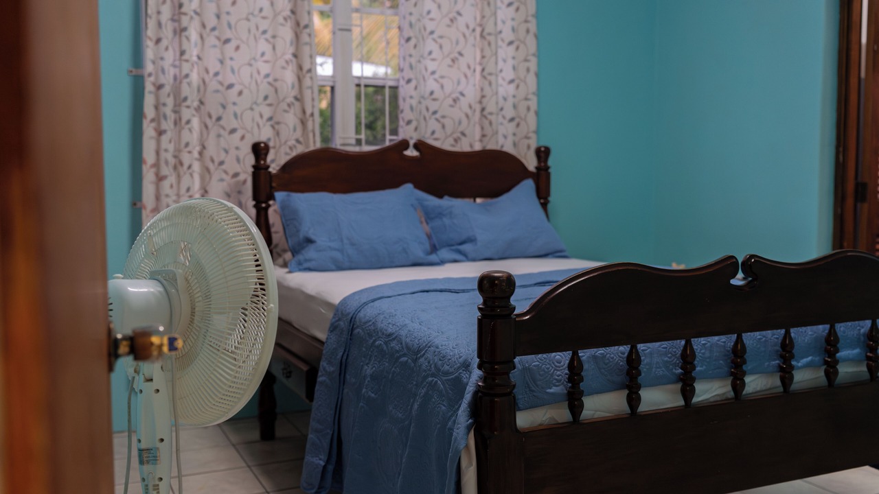 Photo of Bedroom in Roseau