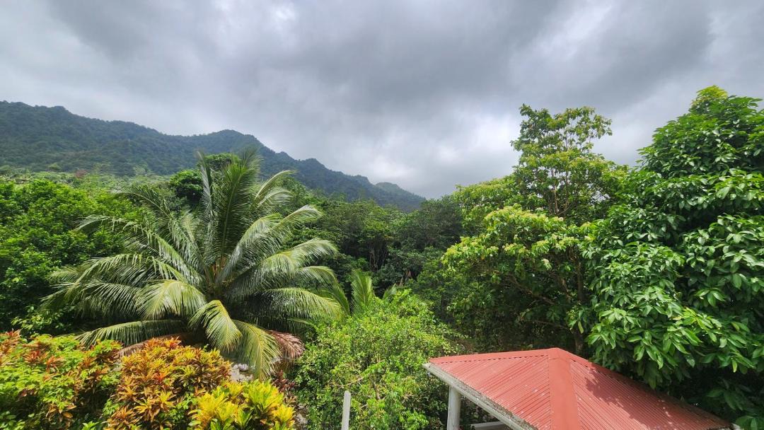 Photo of Others in Marigot