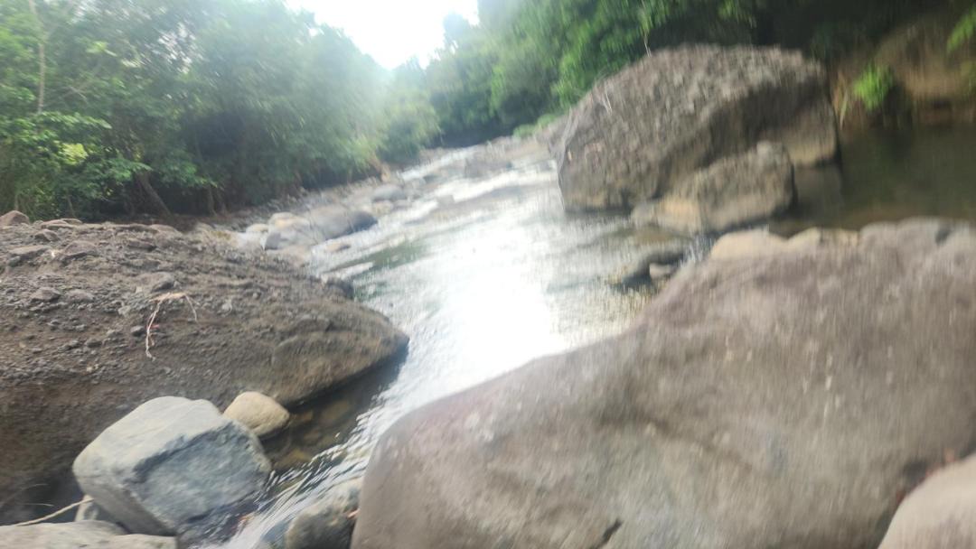 Photo of Others in Marigot