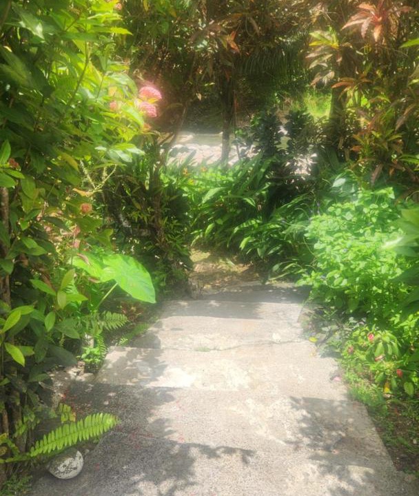 Photo of Others in Marigot