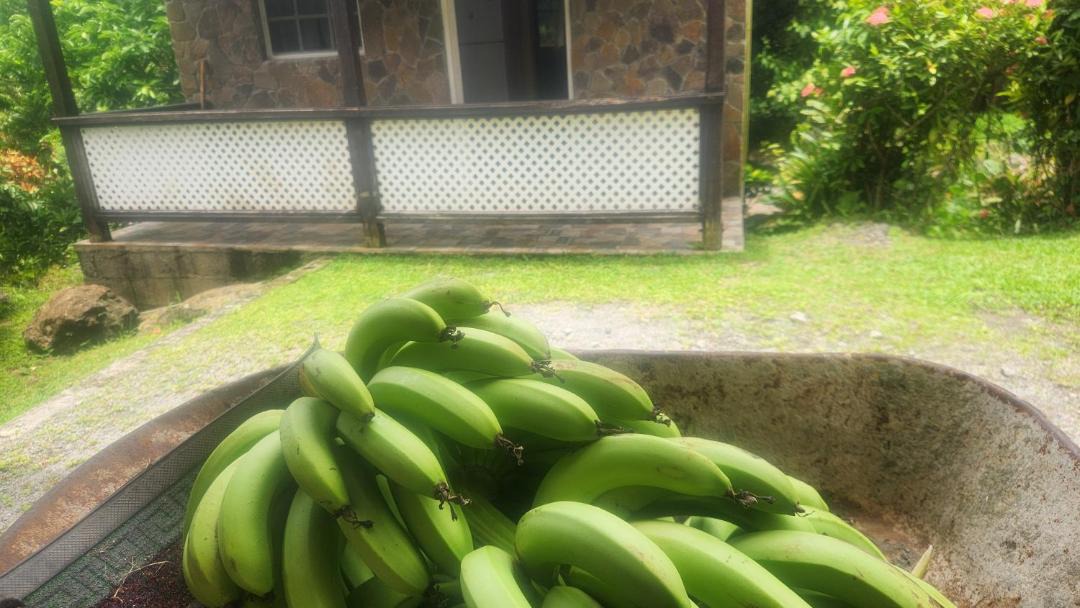 Photo of Others in Marigot