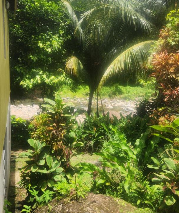 Photo of Others in Marigot