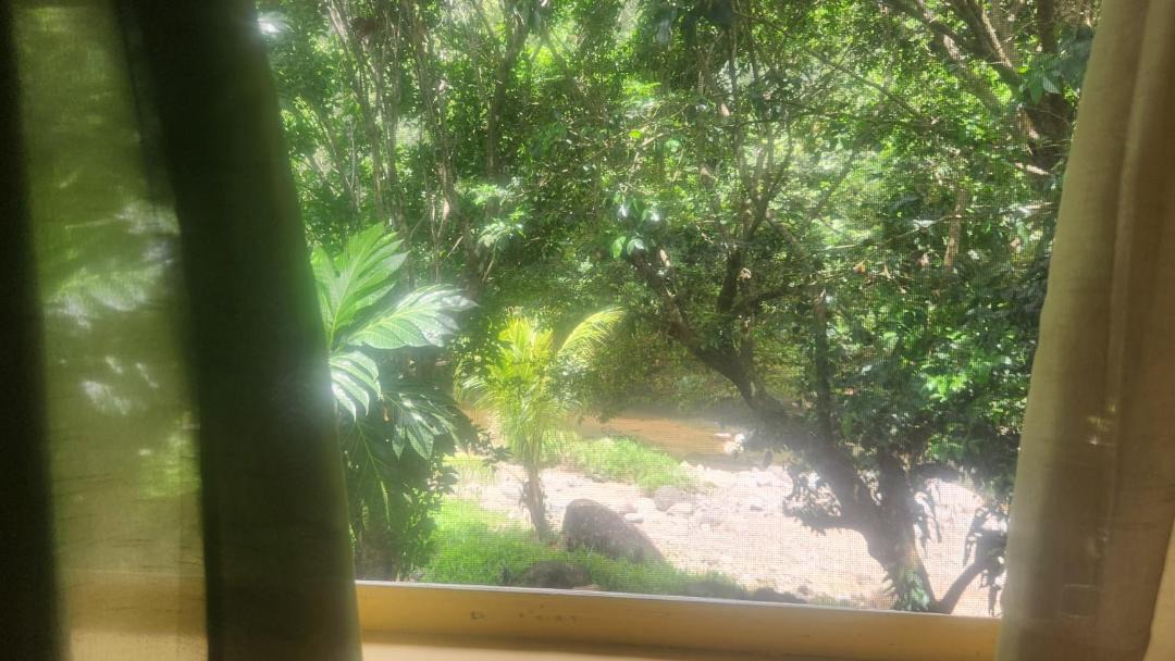 Photo of Others in Marigot
