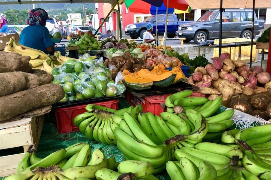 Photo of Others in Marigot