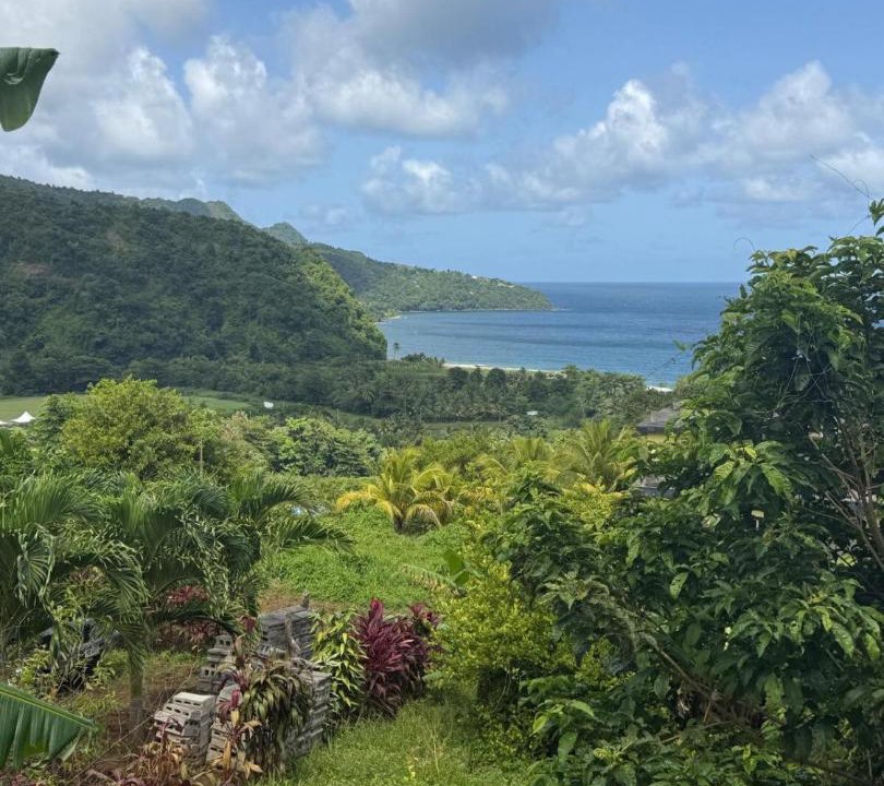 Photo of Others in Grand Bay
