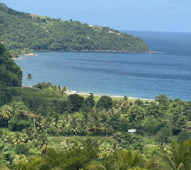 Photo of Others in Grand Bay