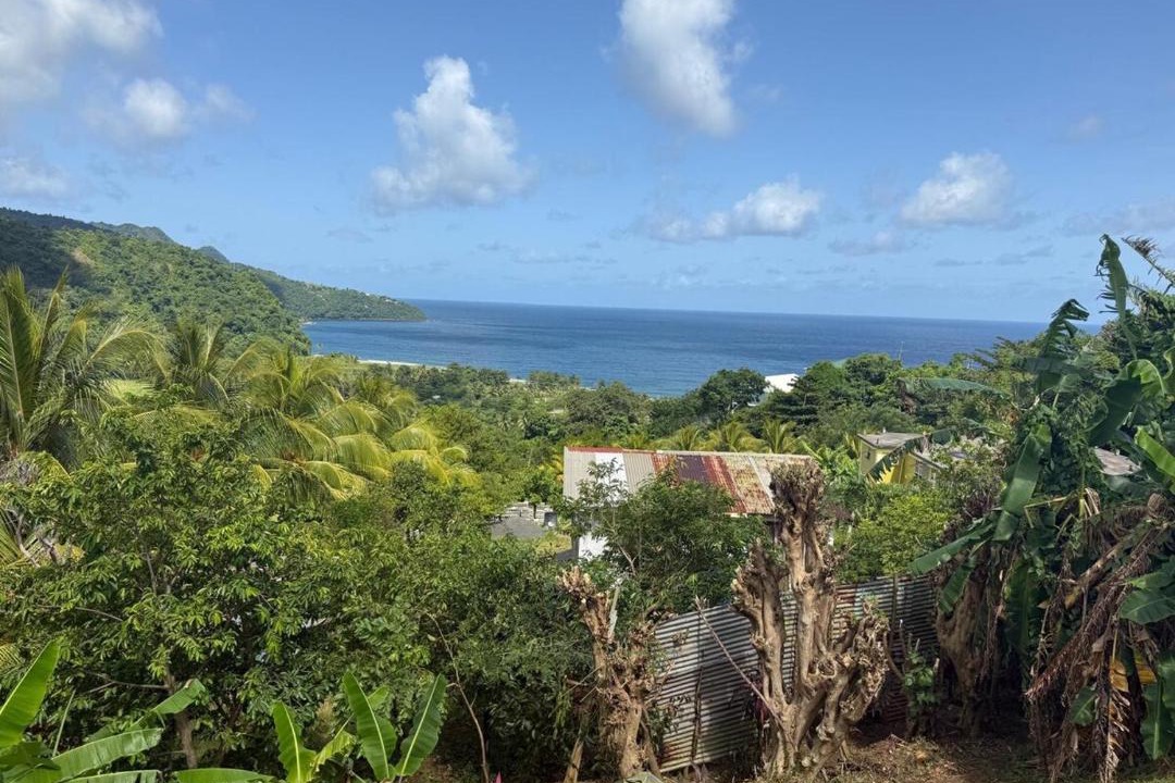 Photo of Others in Grand Bay