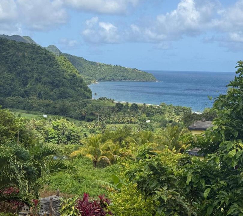 Photo of Others in Grand Bay