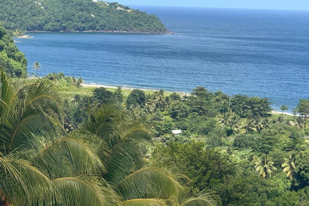 Photo of Others in Grand Bay