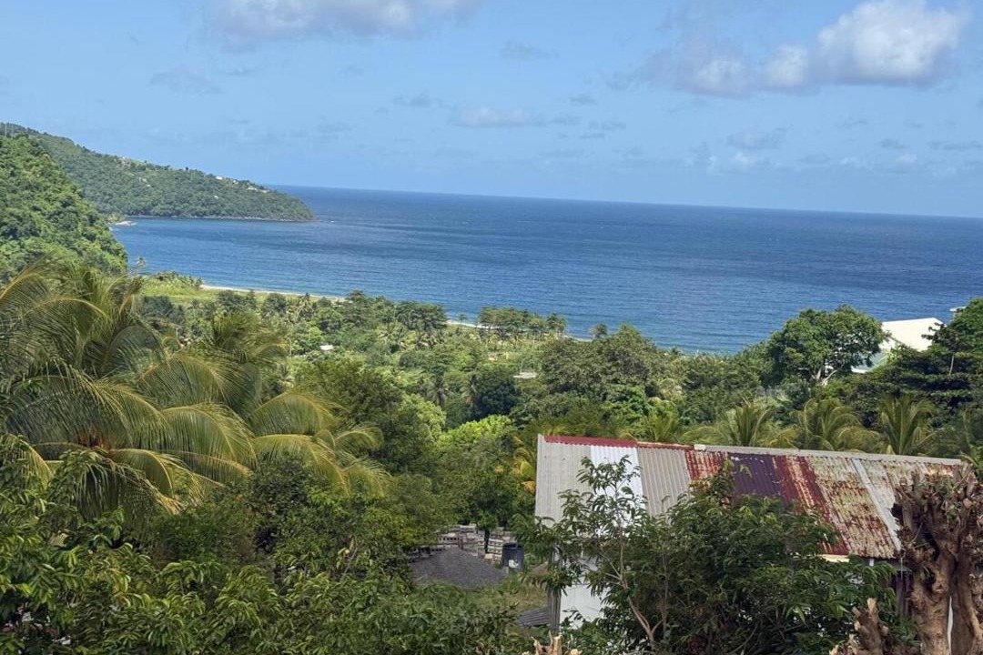 Photo of Others in Grand Bay