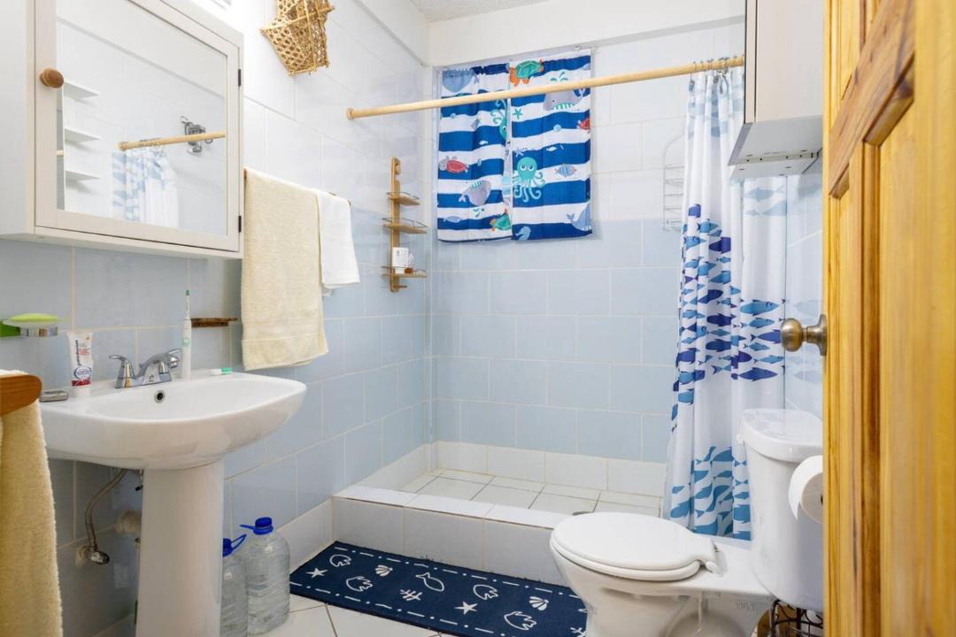 Photo of Bathroom in Soufriere