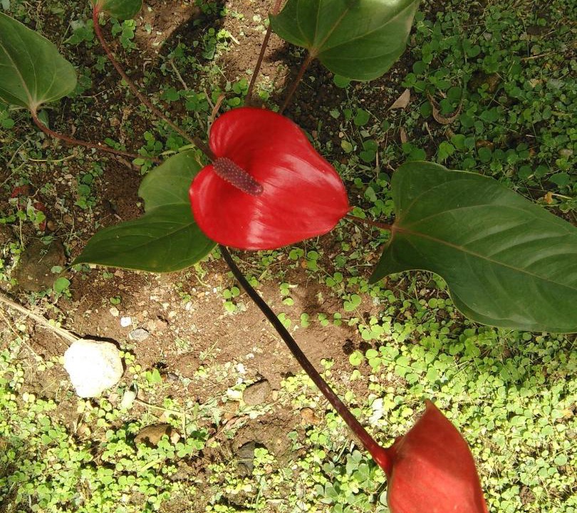 Photo of Others in Wotten Waven