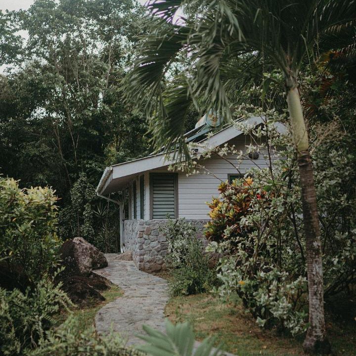 Photo of Others in La Plaine