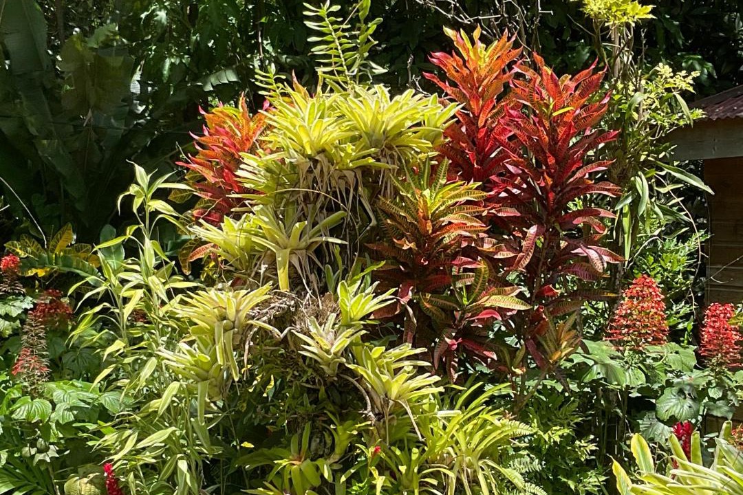 Photo of Outdoor in Fond Cani
