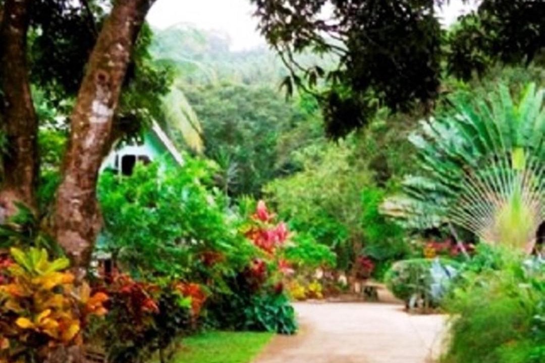 Photo of Others in Marigot