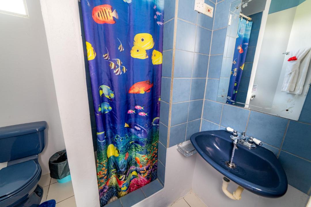 Photo of Bathroom in Picard