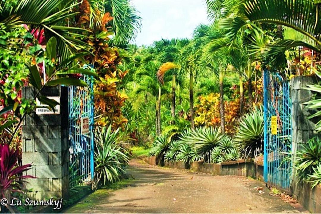 Photo of Others in Marigot
