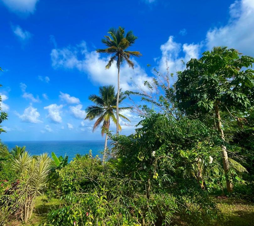 Photo of Others in Marigot