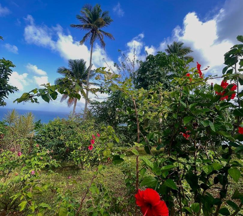 Photo of Others in Marigot