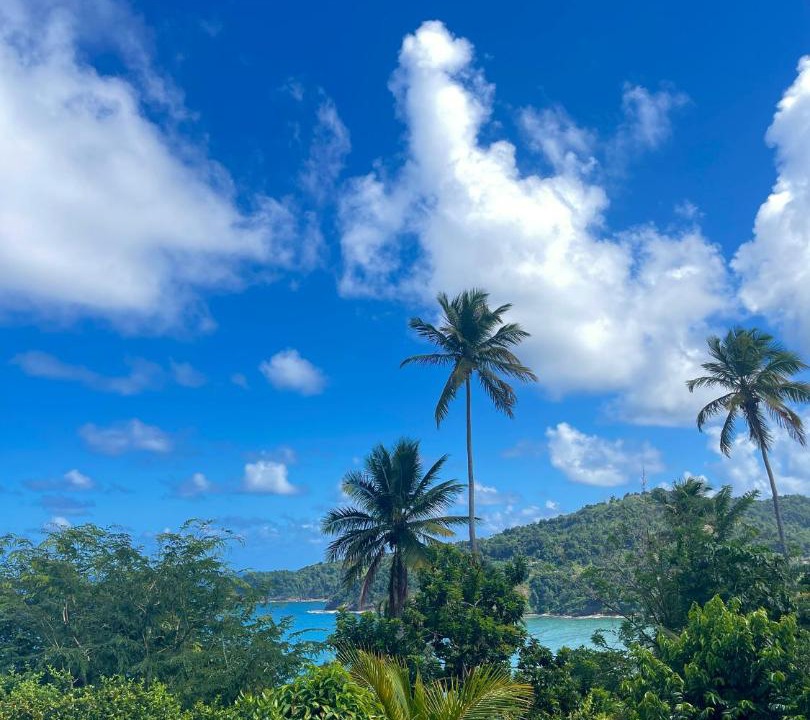 Photo of Others in Marigot