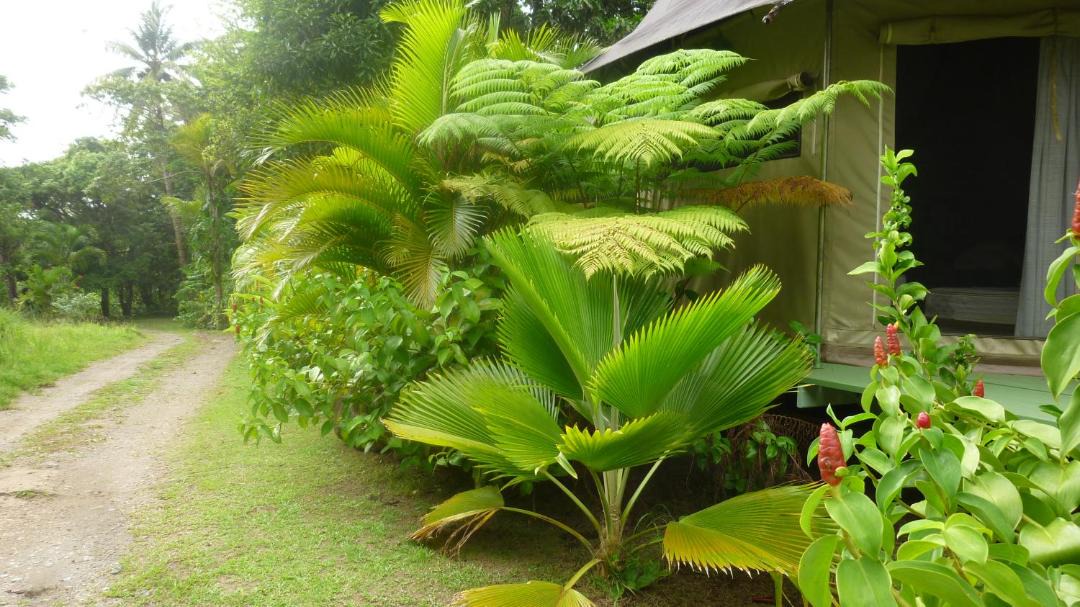 Photo of Others in La Plaine