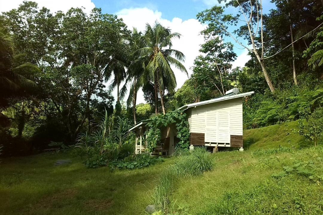 Photo of Others in La Plaine