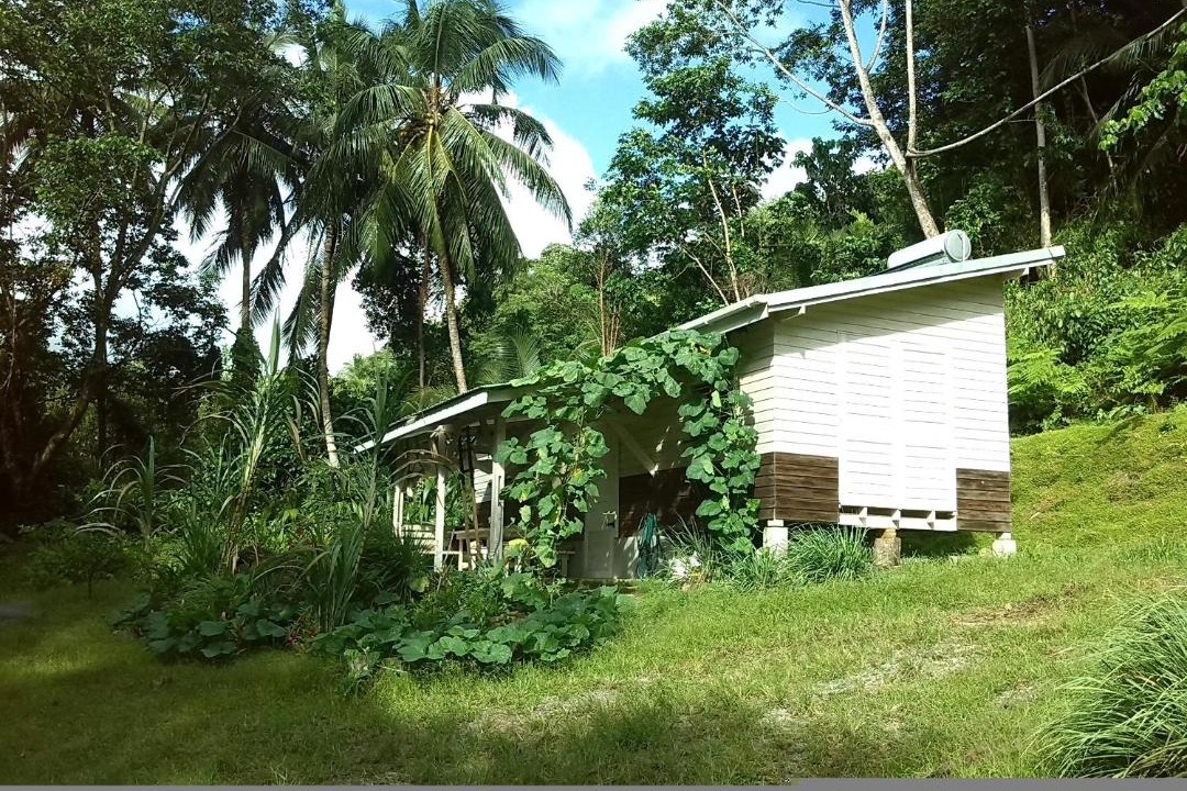 Photo of Others in La Plaine