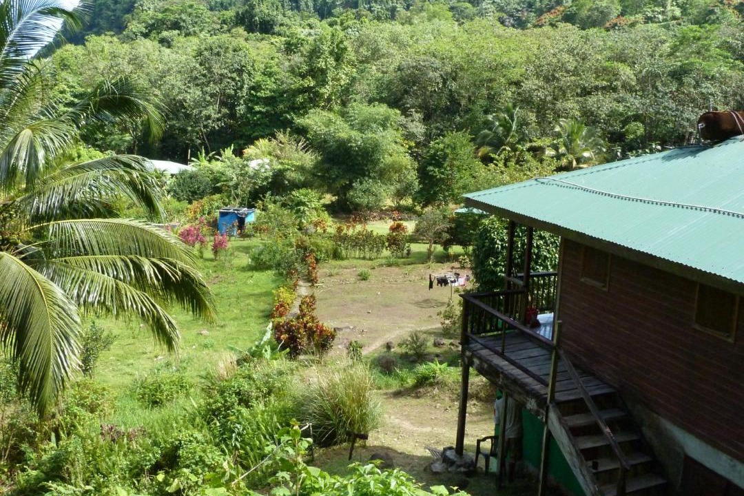 Photo of Others in Rosalie