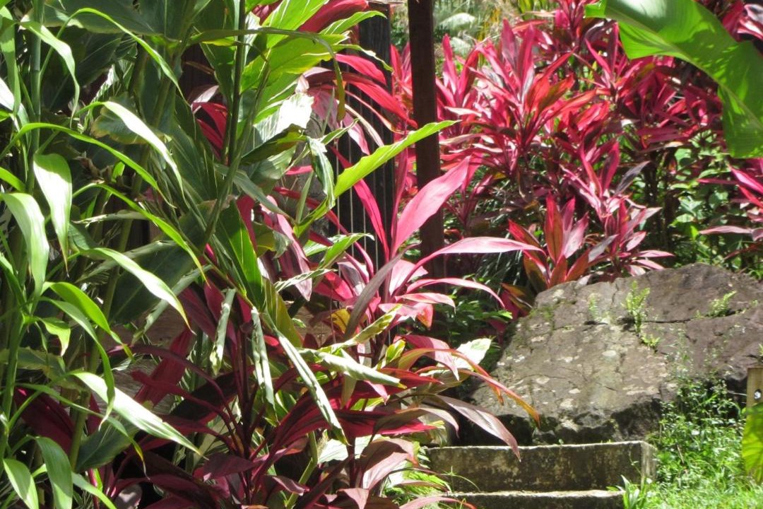 Photo of Others in Marigot