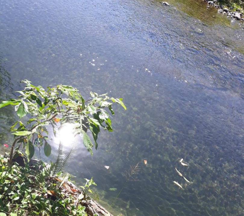 Photo of Others in Marigot