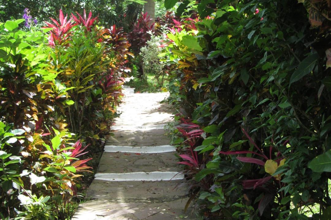 Photo of Others in Marigot