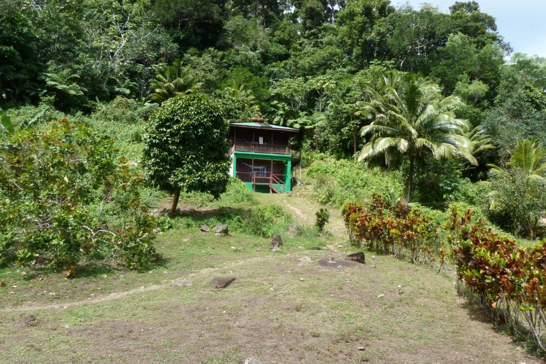 Photo of Others in Rosalie