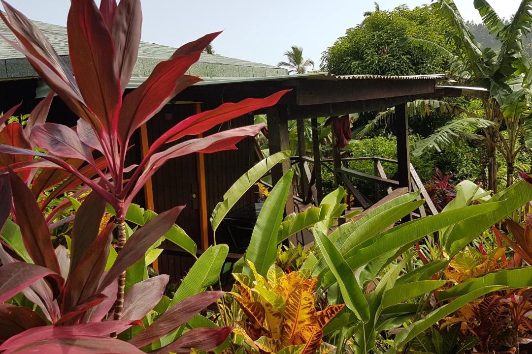 Photo of Others in Marigot