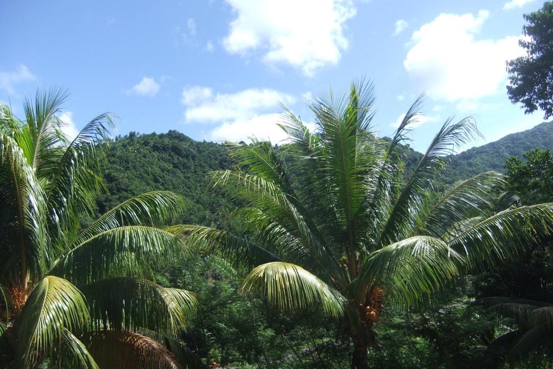 Photo of Others in Marigot